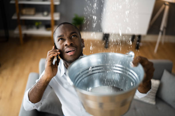 Best Basement water damage restoration  in Leawood, KS