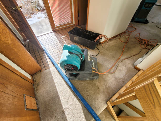 Best Flooded house restoration  in Leawood, KS