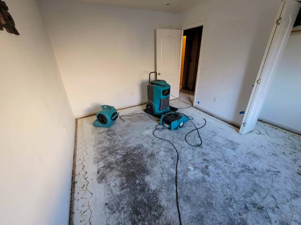 Best Flooded house restoration  in Leawood, KS