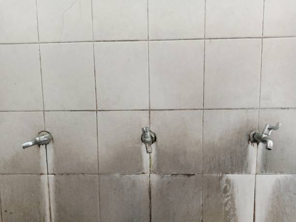 Best Local water damage restoration  in Leawood, KS