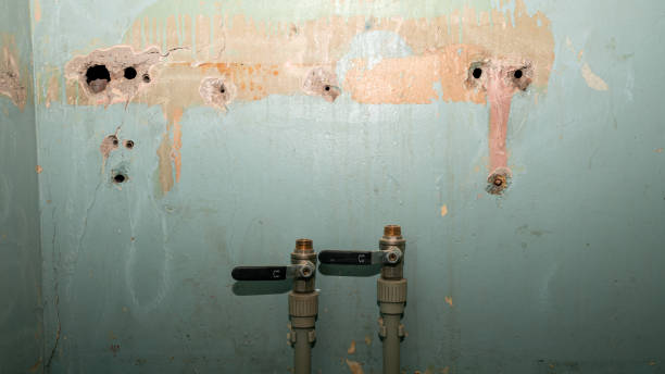 Best Commercial water damage restoration  in Leawood, KS