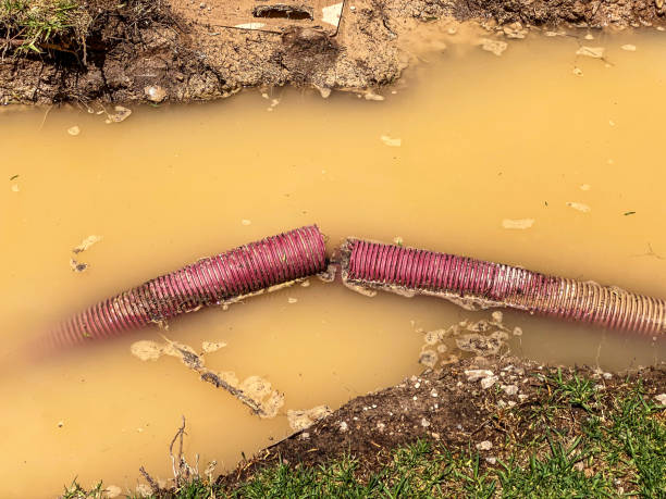 Water damage restoration mold remediation in Leawood, KS