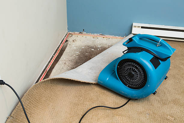 Professional Water damage restoration in Leawood, KS